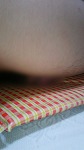 オナニー画像 男 2200番。シコタンの「擦り擦り気持ちいい」。サムネイル。